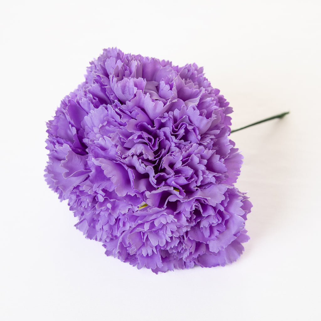 Clavel Flamenca Grande