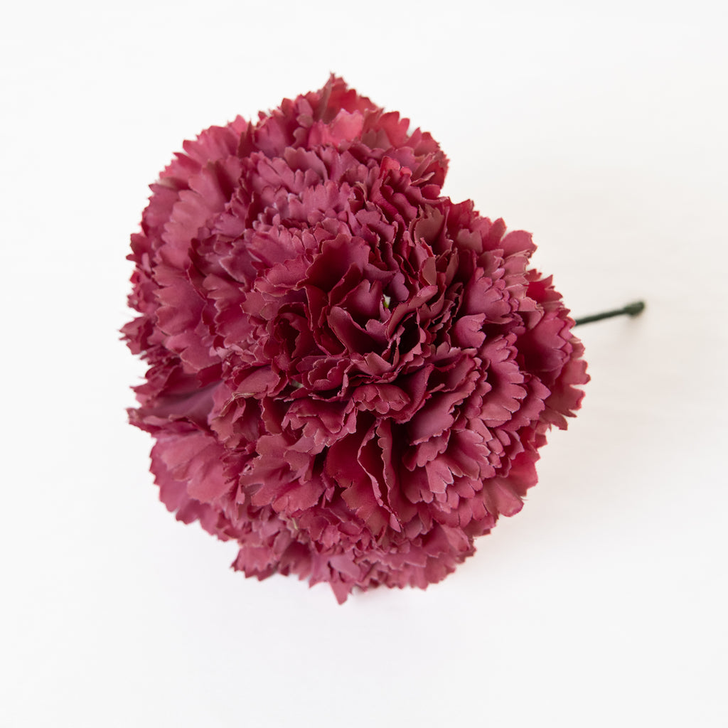 Clavel Flamenca Grande