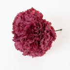 Clavel Flamenca Grande
